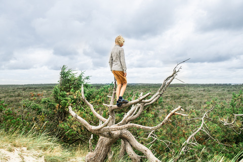 Pige, der kigger ud på landskabet