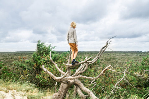 Pige, der kigger ud på landskabet