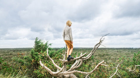 Pige, der kigger ud på landskabet