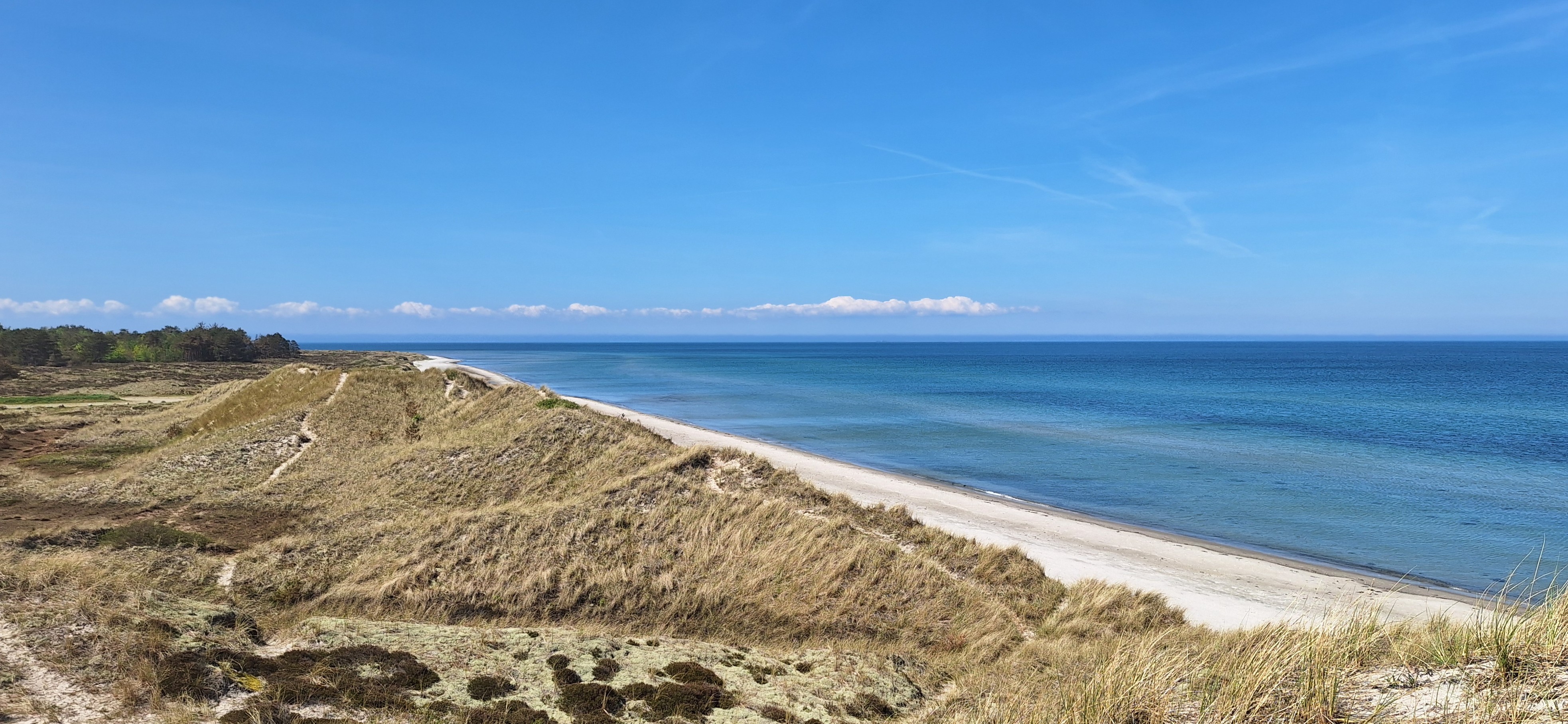 Læsø - kyststrækning med klitter og strand
