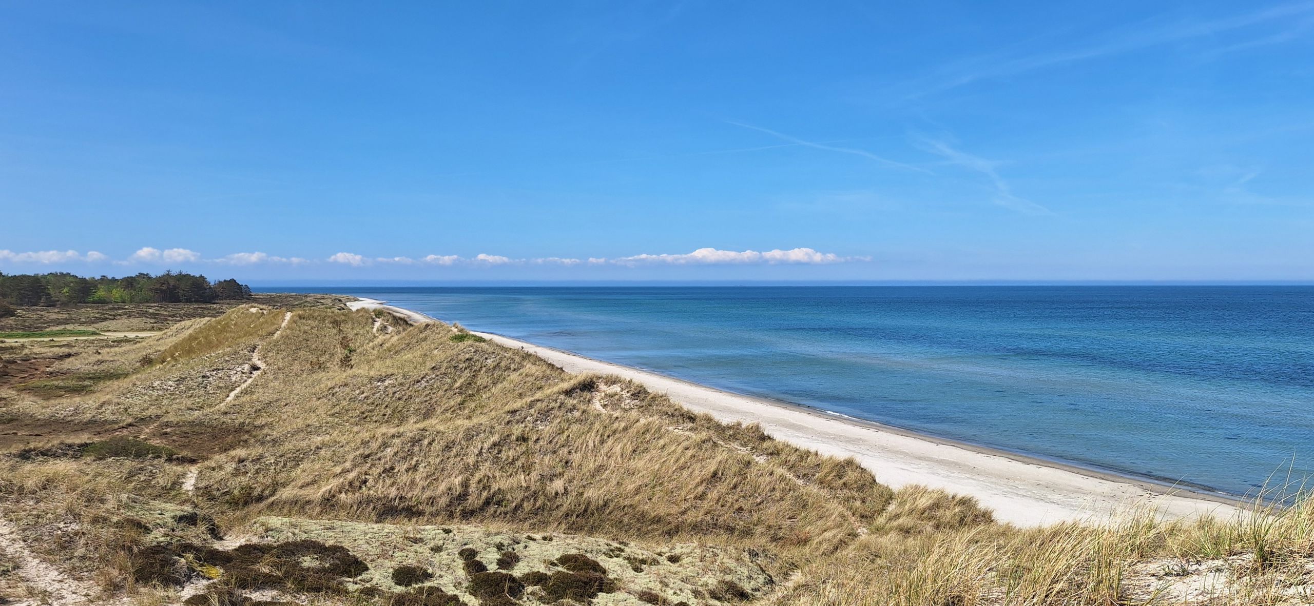 Læsø - kyststrækning med klitter og strand