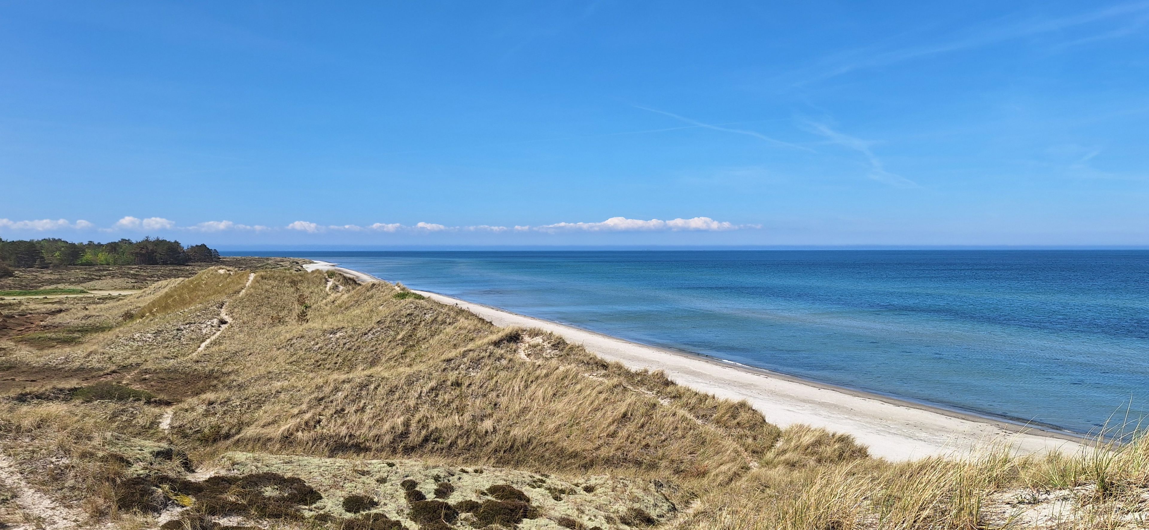 Læsø - kyststrækning med klitter og strand